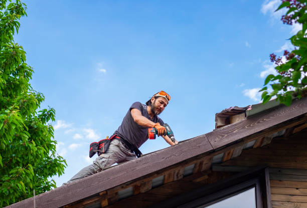 Professional Roofing service in Dundee, FL